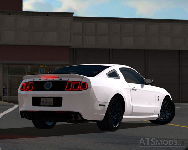 shelby-2