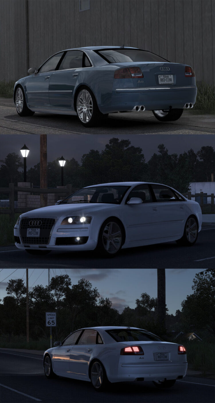 Audi A8 D3 V4.9 1.54