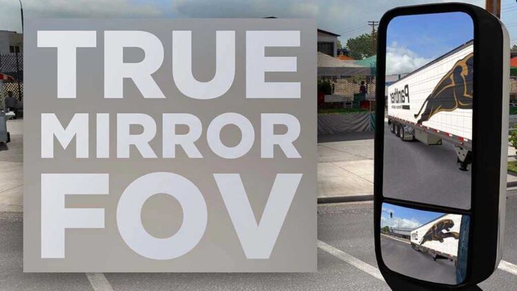 True Mirror FOV v1.58