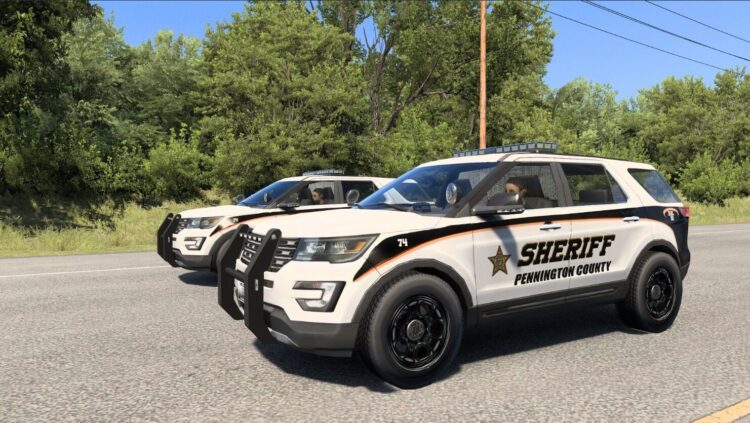 Extra City Police Vehicles