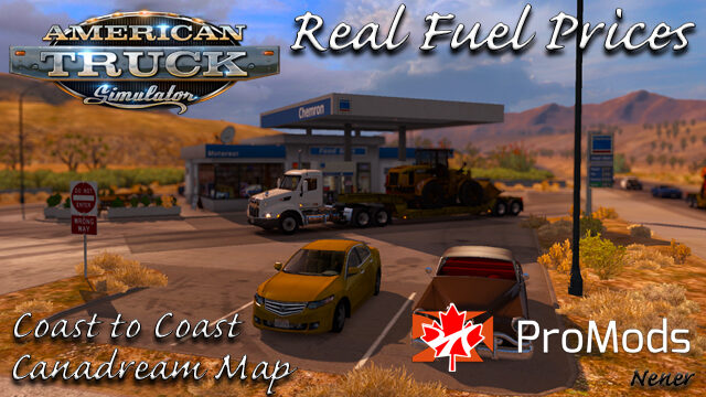 Real Fuel Prices