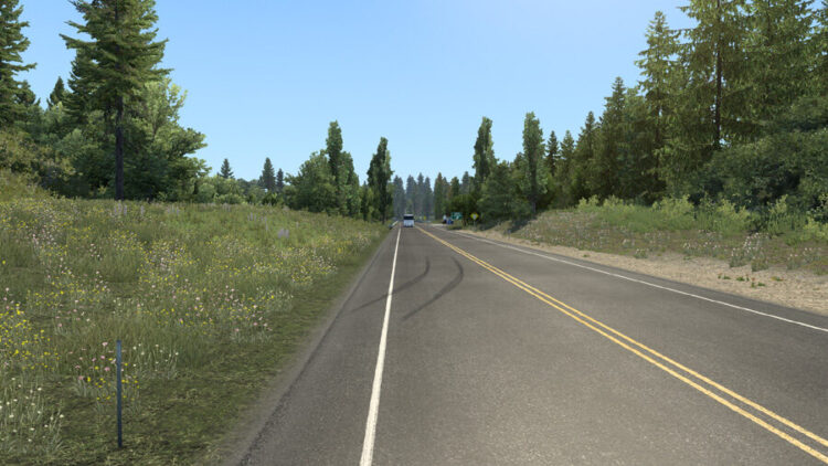 Spring v4.6