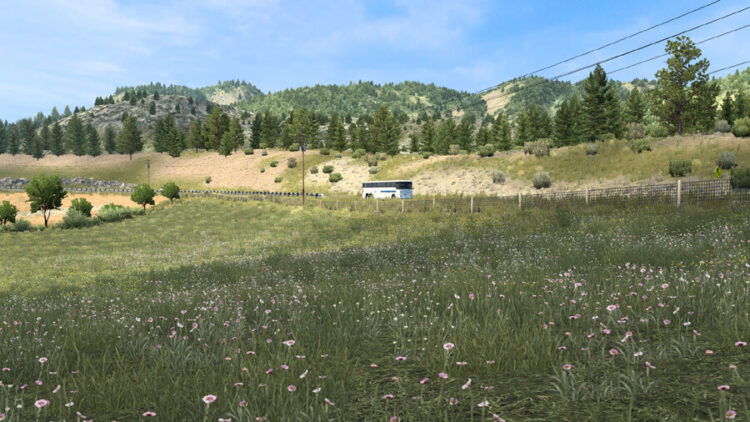 Spring v4.6